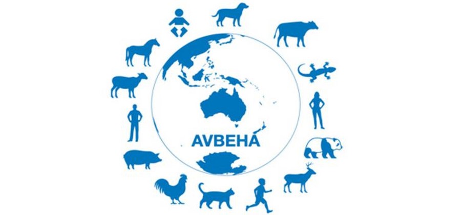 Logo_AVBEHA_Petit_2.jpg